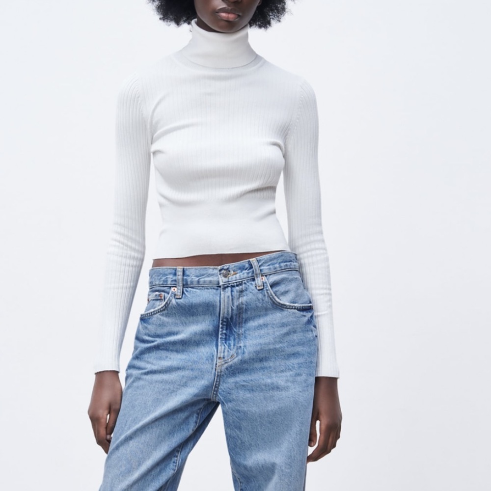 Zara Ribbed Knit Sweater